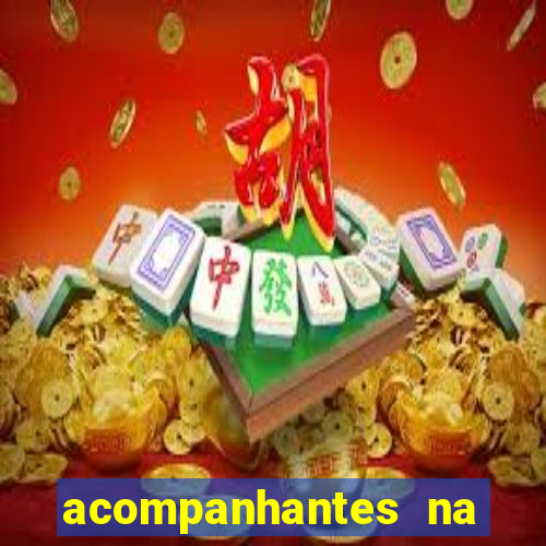 acompanhantes na vila nova cachoeirinha sp